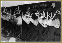 Trophies on display at a recent sportsmen's show